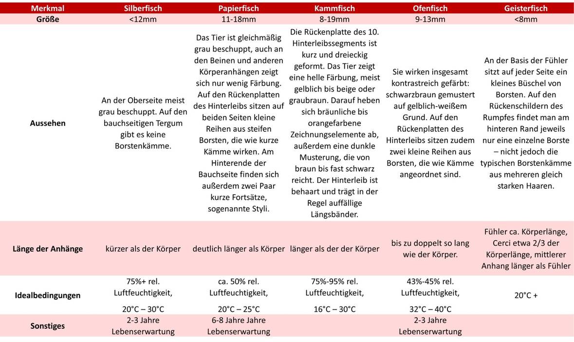 Verschiedene Merkmale von unterschiedlichen Fischchenarten